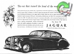 Jaguar 1951 0.jpg